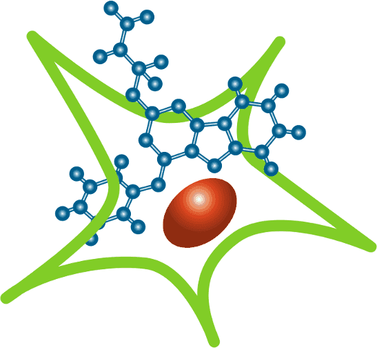 Gemeinsame Fachgruppe Chemische Biologie